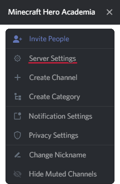 open server settings
